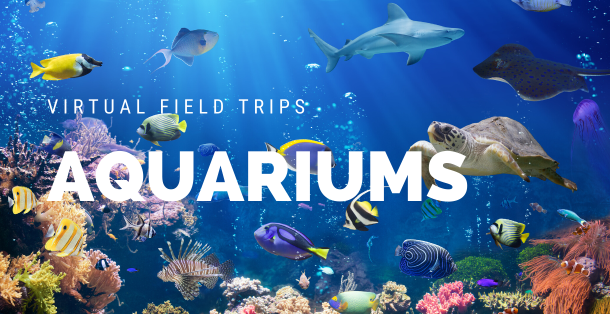 online aquarium field trip